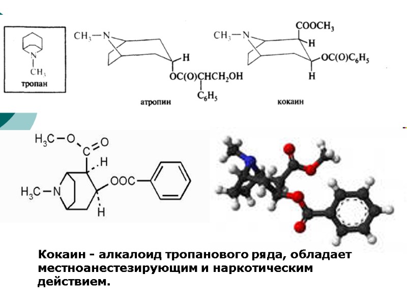 Кокаин - алкалоид тропанового ряда, обладает местноанестезирующим и наркотическим действием.